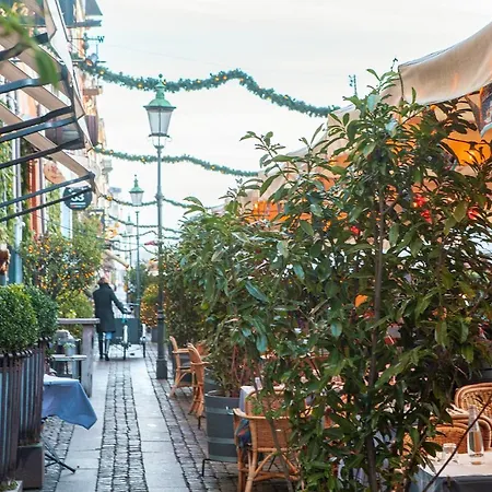 New Harbor - Carolinas * Copenhagen